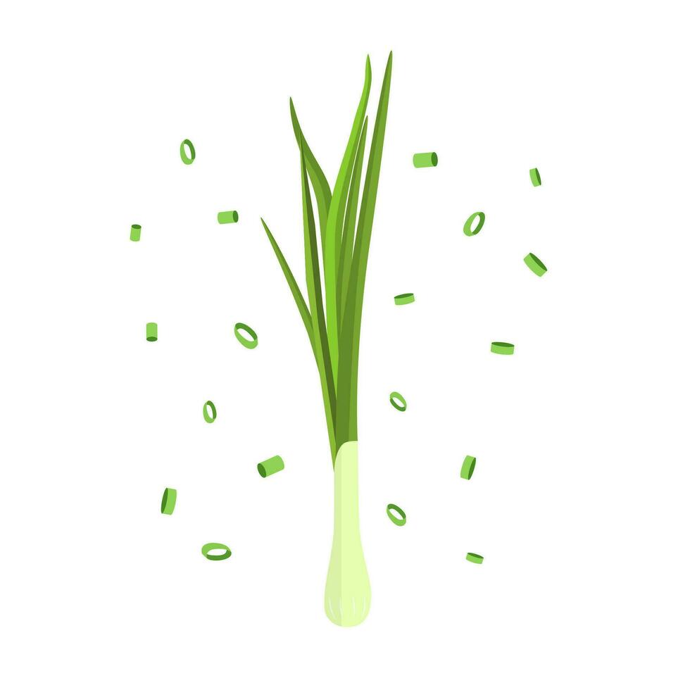 Bunch of fresh green onions. vector