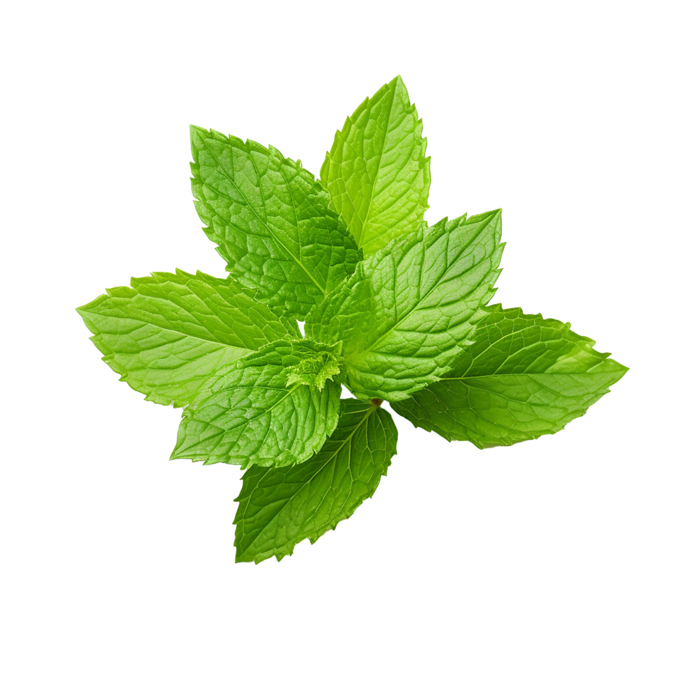 AI generated Mint leaves png isolated on transparent background