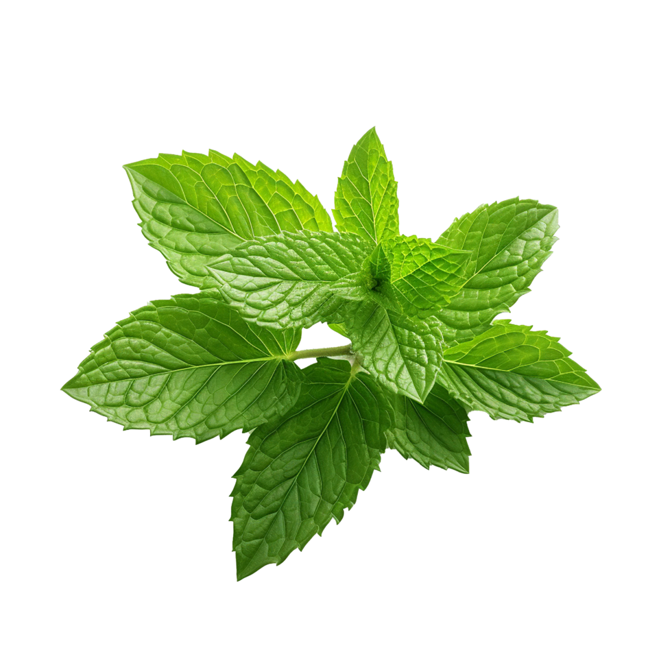 AI generated Mint leaves png isolated on transparent background