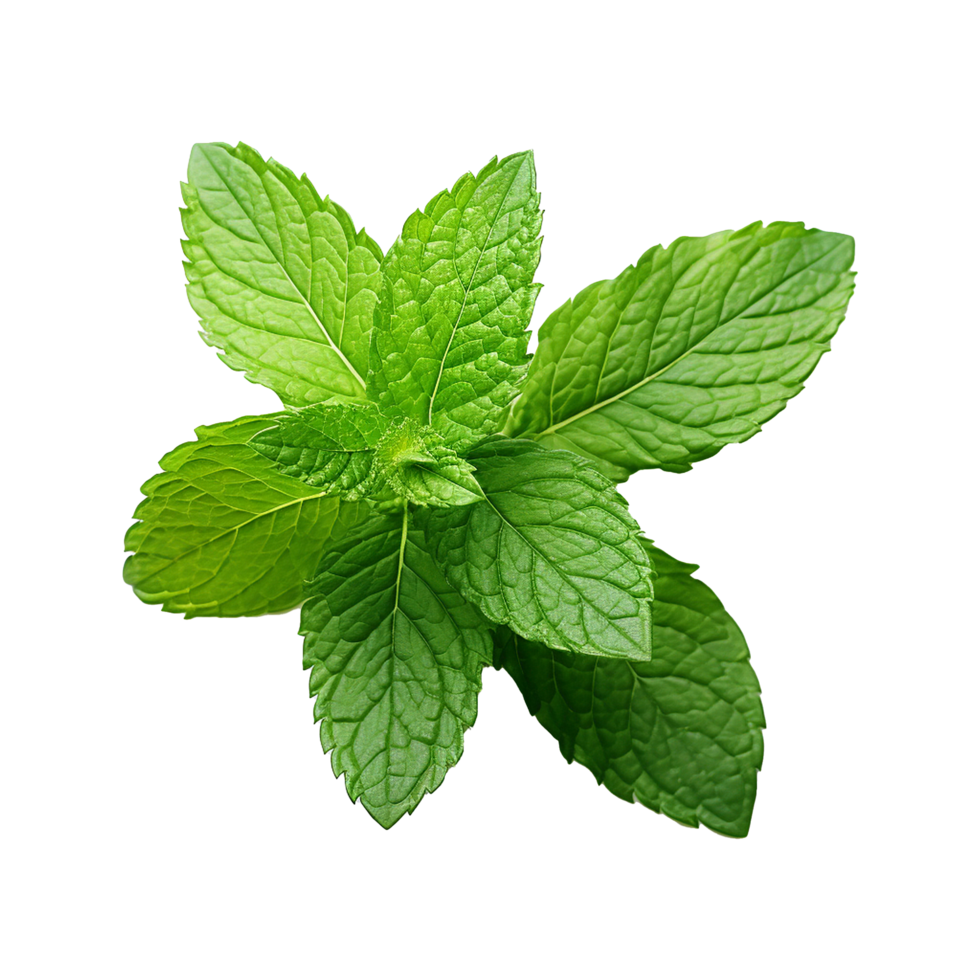 AI generated Mint leaves png isolated on transparent background