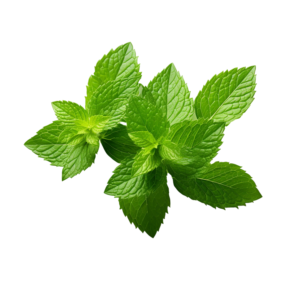 AI generated Mint leaves png isolated on transparent background