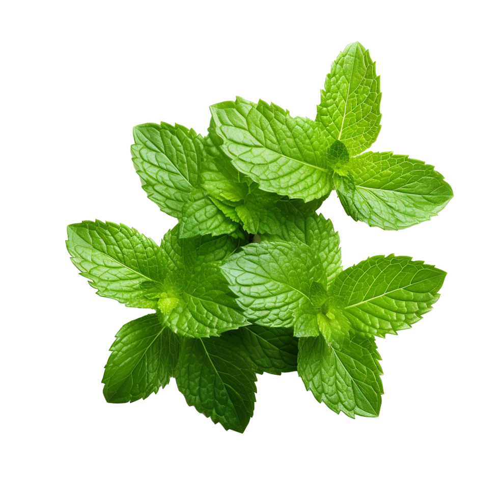 AI generated Mint leaves png isolated on transparent background