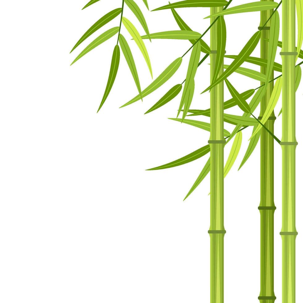 Vector green bamboo stems and leaves isolated on white background with copy space. Vector illustration in flat style