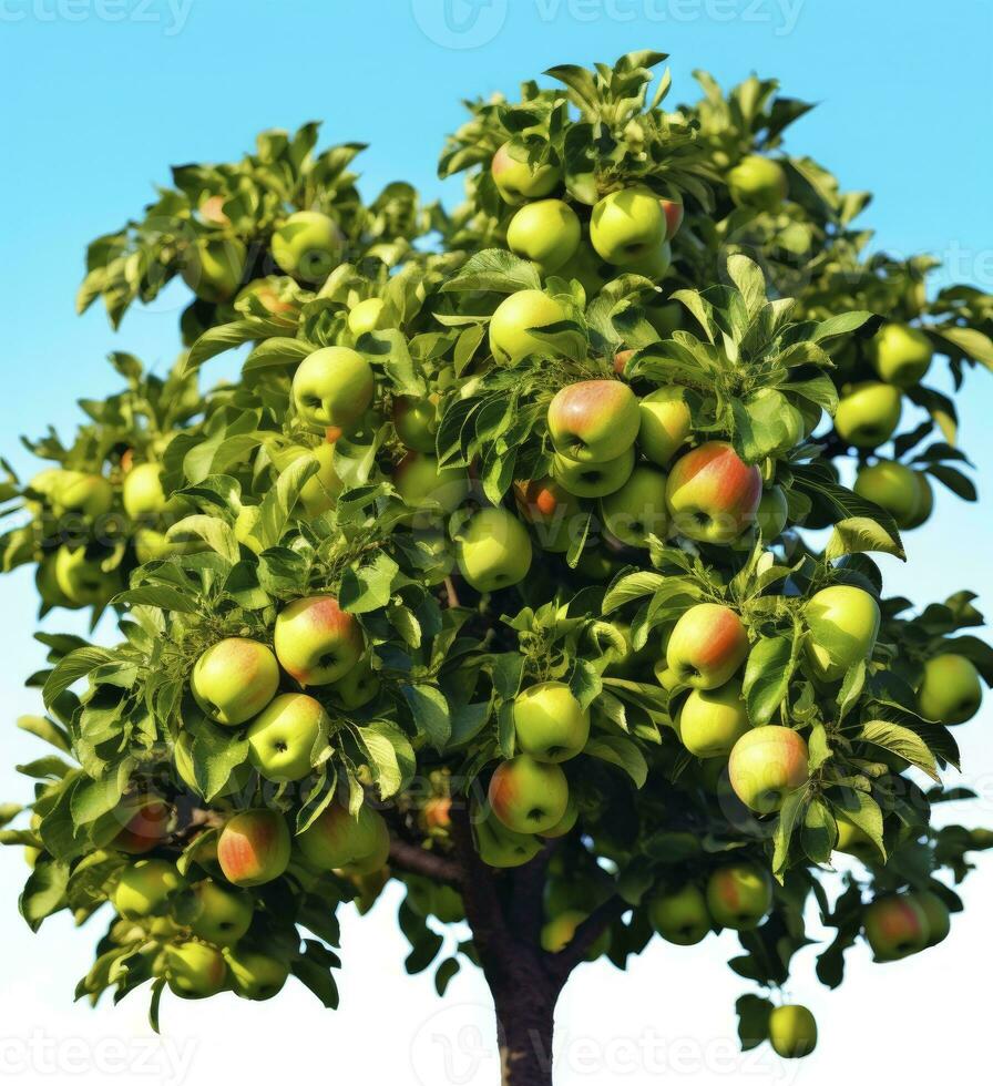 AI generated A beautiful green apple tree. AI Generated photo