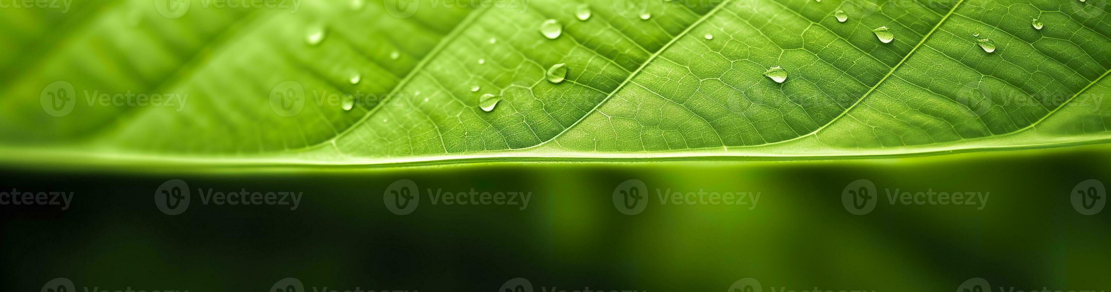 AI generated Green leaf nature background. AI Generated photo