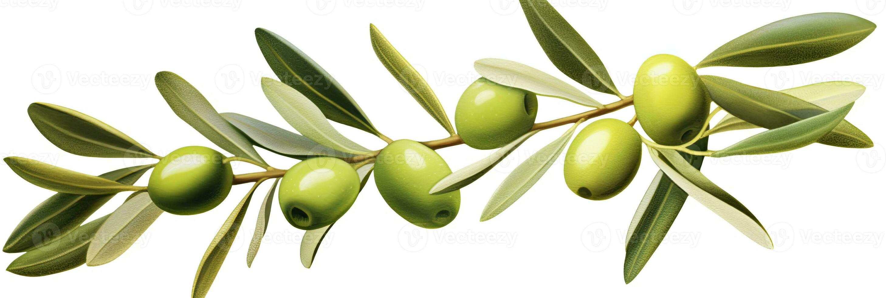 AI generated Olive tree branch, green olives and leaves on white background. AI Generated. photo