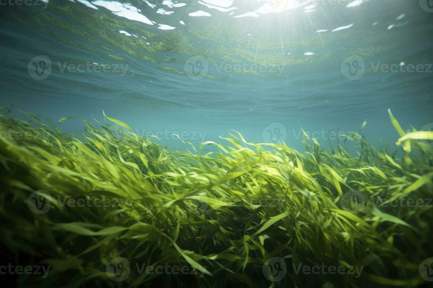 AI generated Underwater view of a group of seabed with green seagrass. AI Generated photo