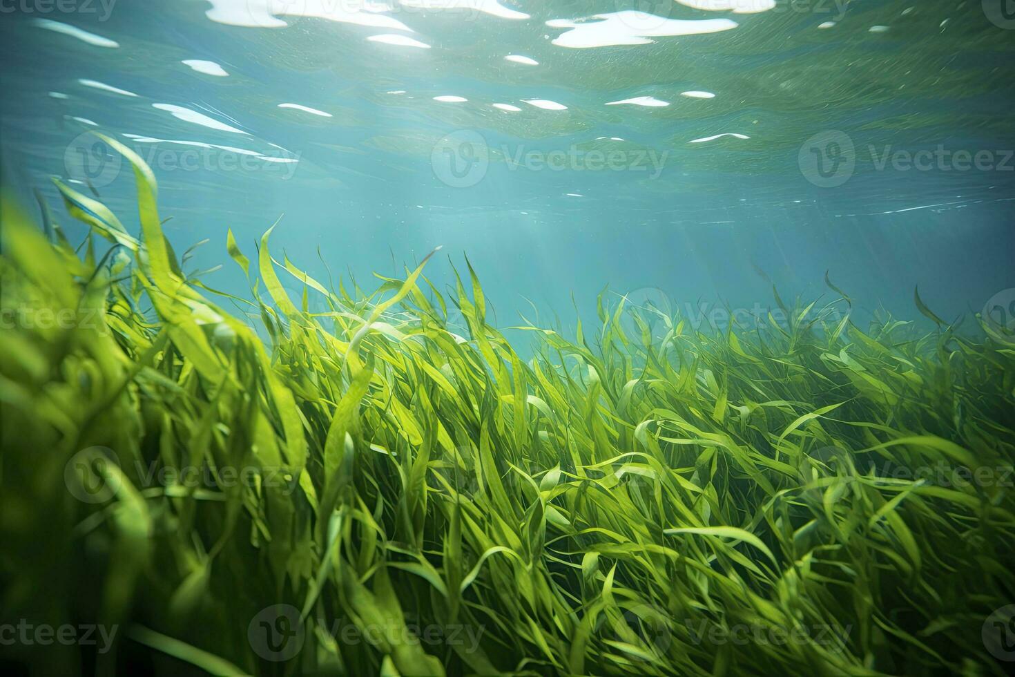 AI generated Underwater view of a group of seabed with green seagrass. AI Generated photo