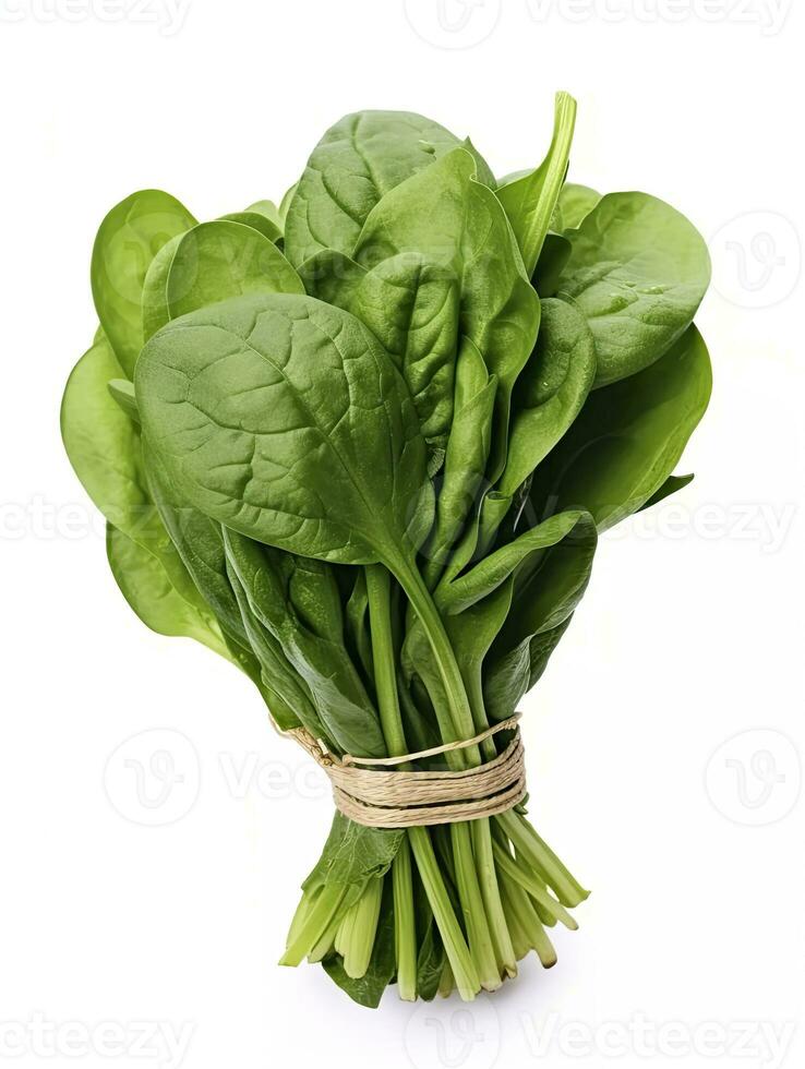 AI generated Bunch of spinach isolated on white background. AI Generated photo