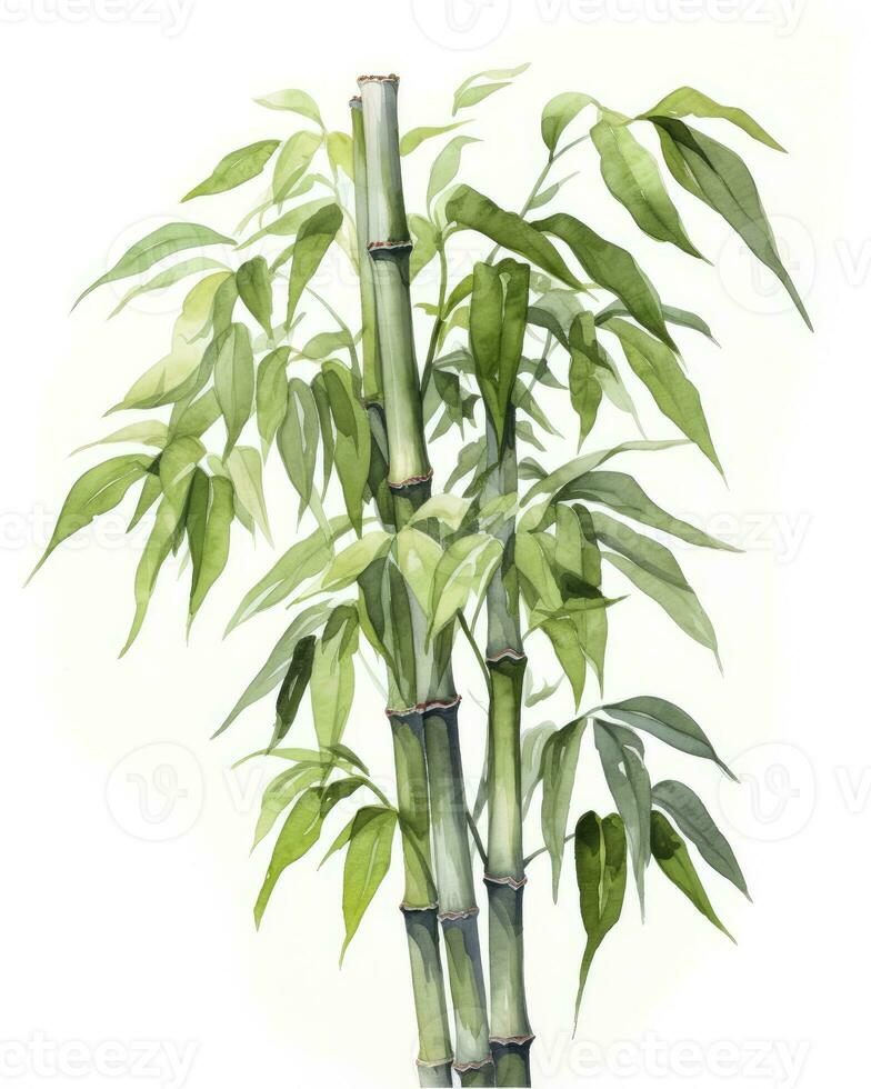 AI generated Watercolor bamboo clipart isolated on white background. AI Generated photo