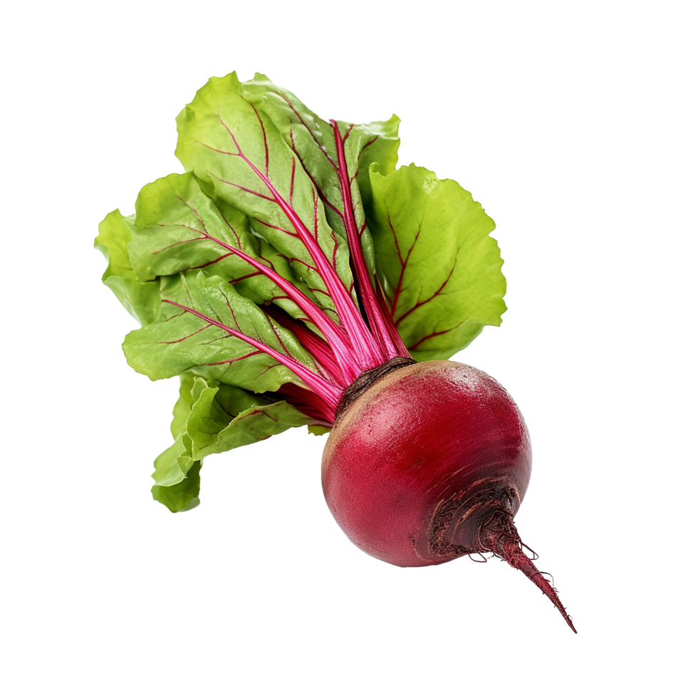 AI generated Beetroot slices png isolated on transparent background