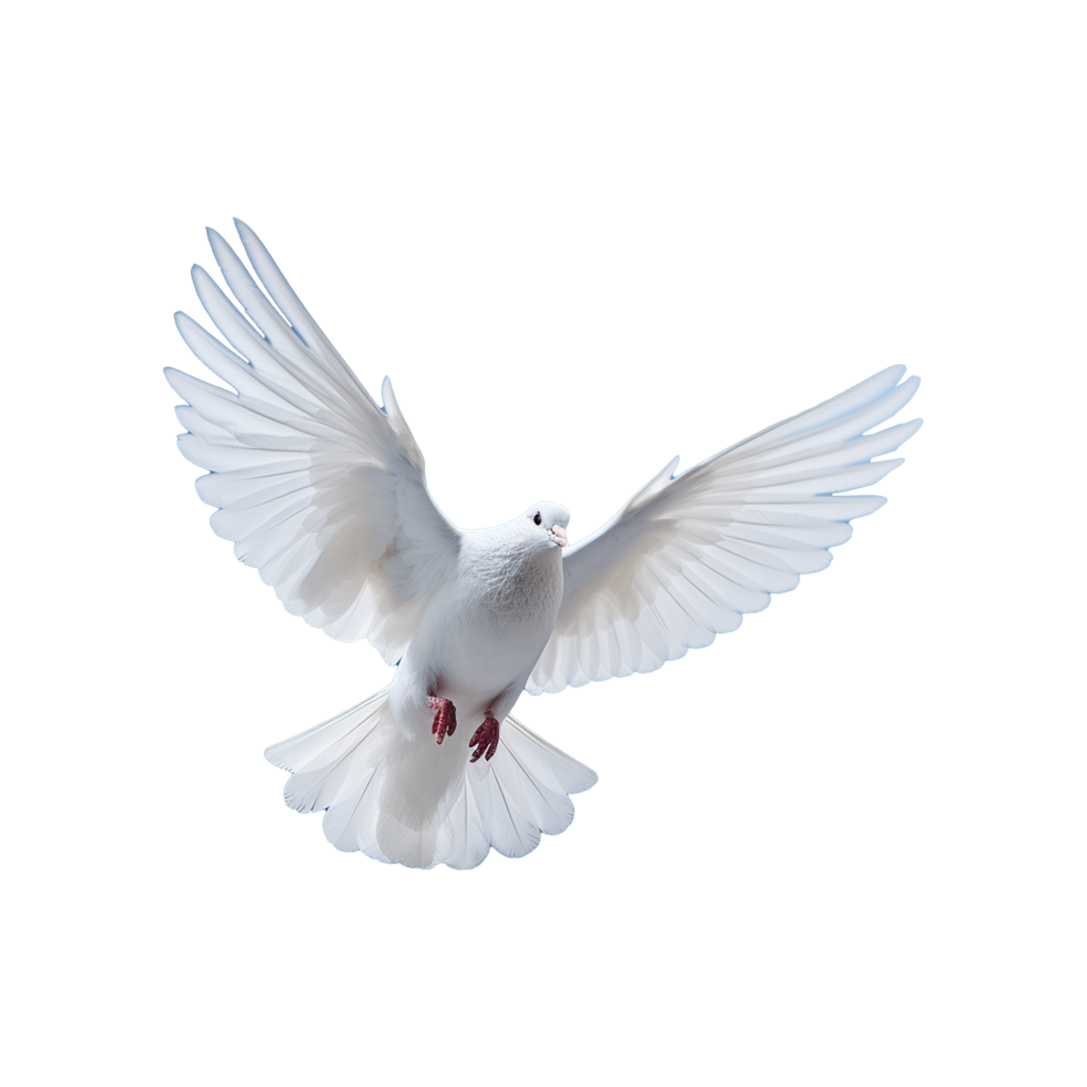 AI generated Beautiful flying dove isolated on a transparent background png