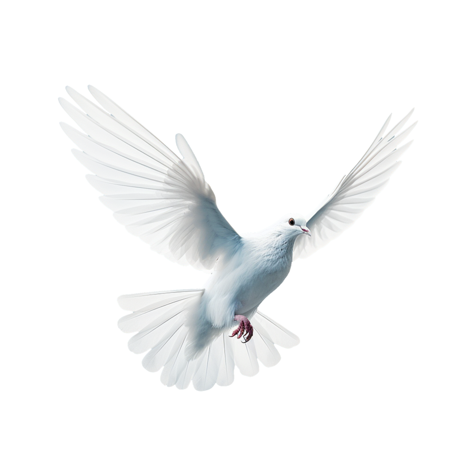 AI generated Beautiful flying dove isolated on a transparent background png