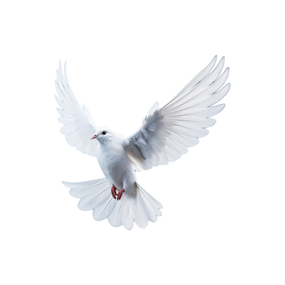 AI generated Beautiful flying dove isolated on a transparent background png