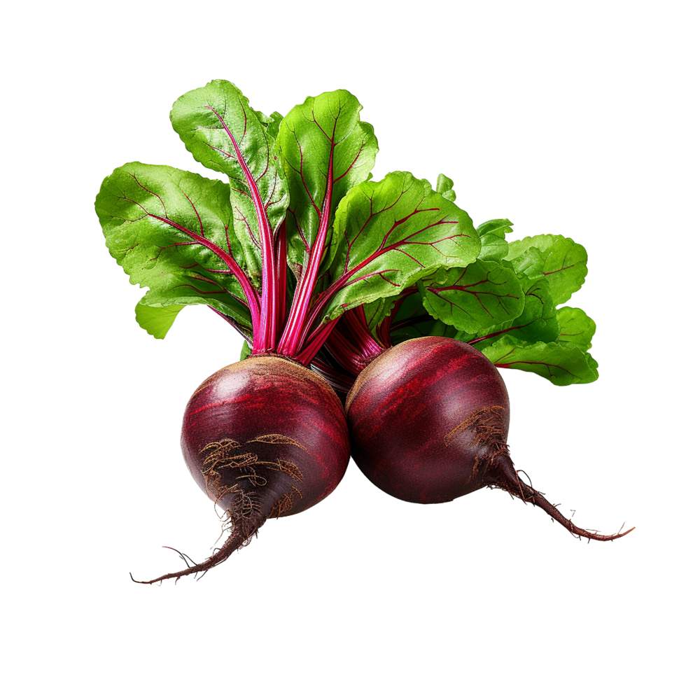 AI generated Beetroot slices png isolated on transparent background