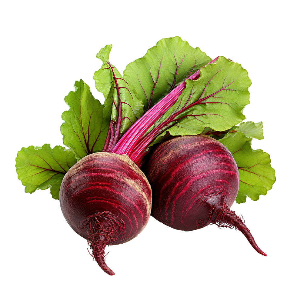 AI generated Beetroot slices png isolated on transparent background