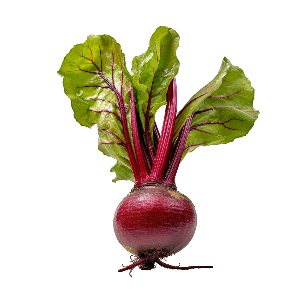 AI generated Beetroot slices png isolated on transparent background