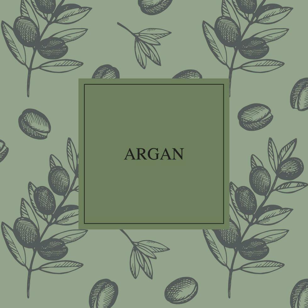 Argan sketch background label for text. Template card hand drawn engraved plant Argana tree with leaves fruits vector illustration. Cosmetics ingredient, argan oil, harvest, tree Berbers and Arabs