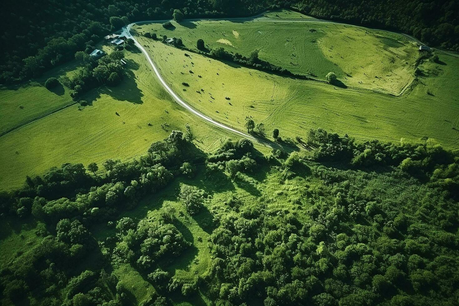 AI generated drone aerial birds eye view of a large green grass forest with tall trees and a big blue bendy river flowing through the forest photo