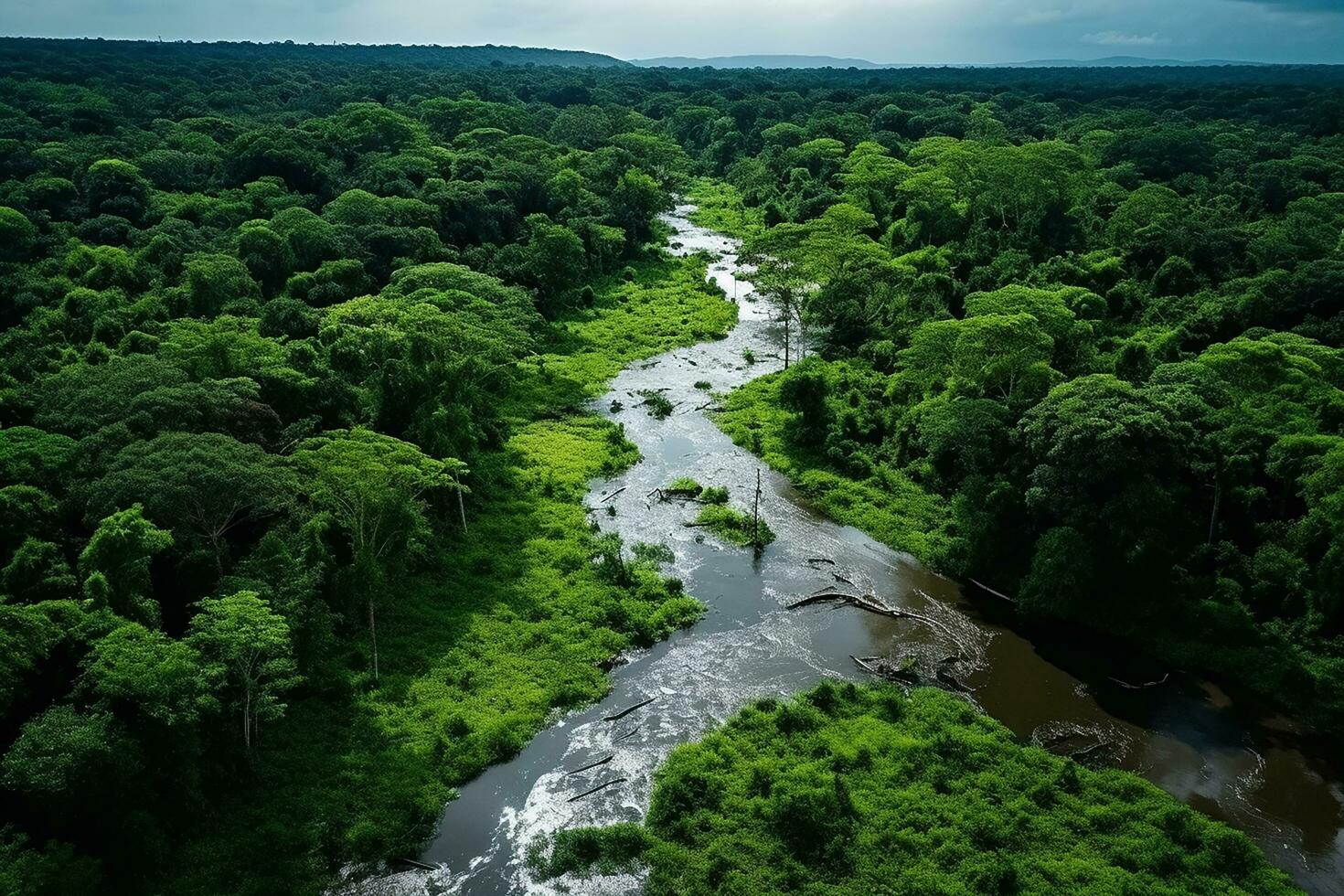 AI generated drone aerial birds eye view of a large green grass forest with tall trees and a big blue bendy river flowing through the forest photo
