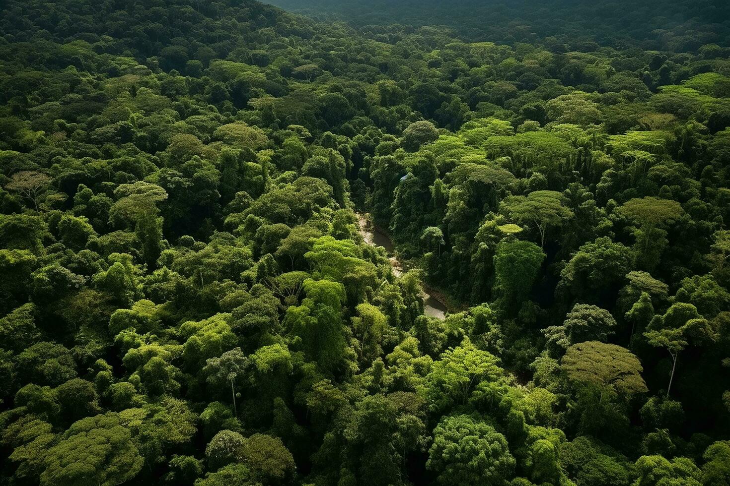 AI generated drone aerial birds eye view of a large green grass forest with tall trees and a big blue bendy river flowing through the forest photo