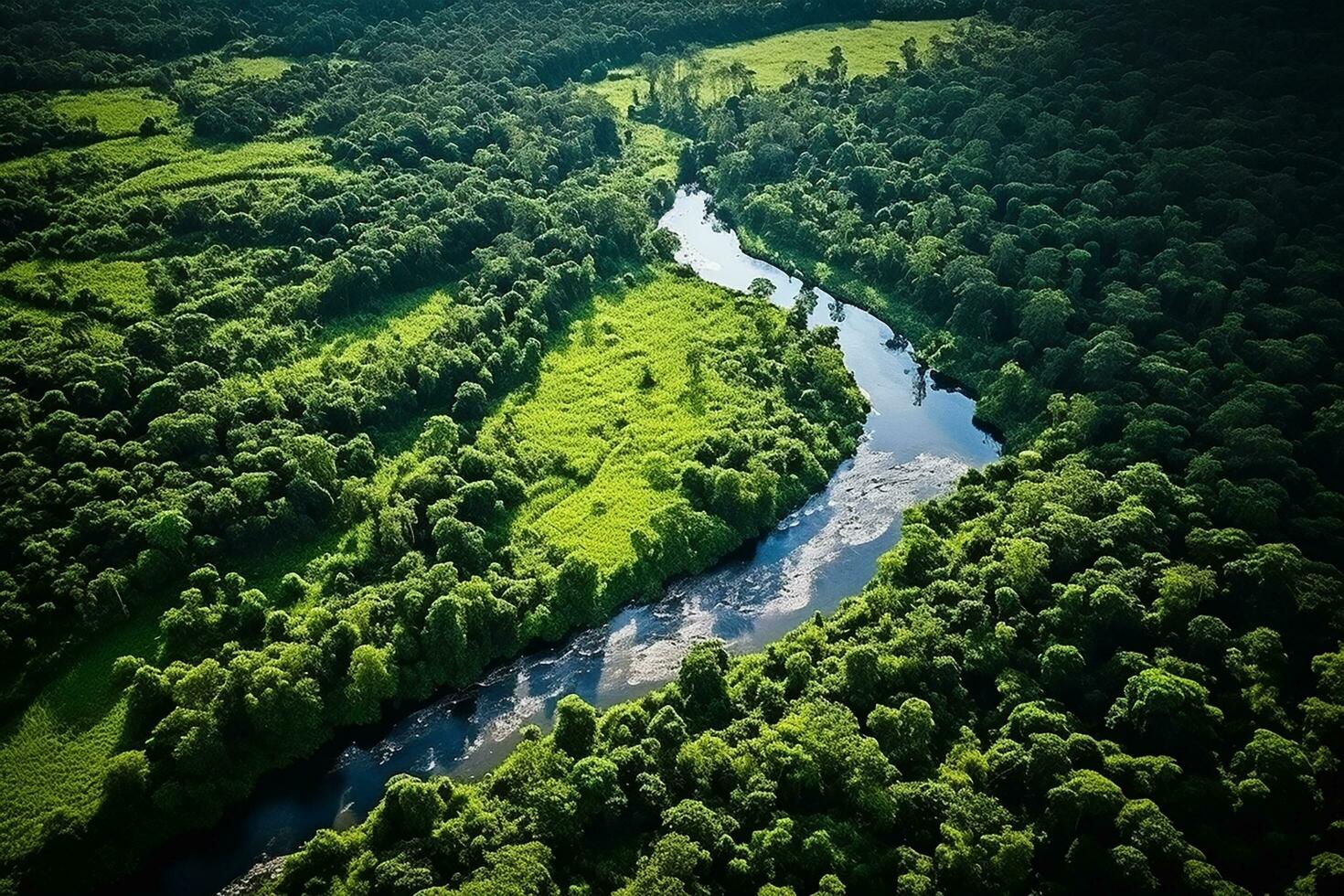 AI generated drone aerial birds eye view of a large green grass forest with tall trees and a big blue bendy river flowing through the forest photo