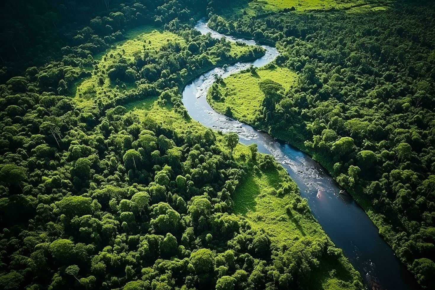 AI generated drone aerial birds eye view of a large green grass forest with tall trees and a big blue bendy river flowing through the forest photo