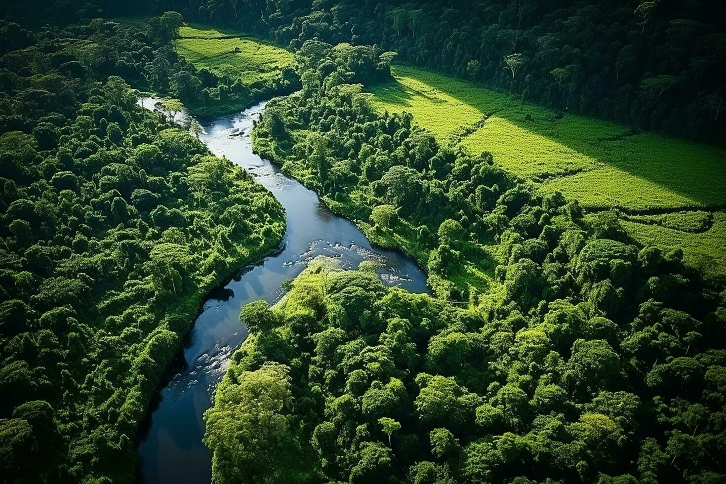 ai generado zumbido aéreo aves ojo ver de un grande verde césped bosque con alto arboles y un grande azul flexible río fluido mediante el bosque foto