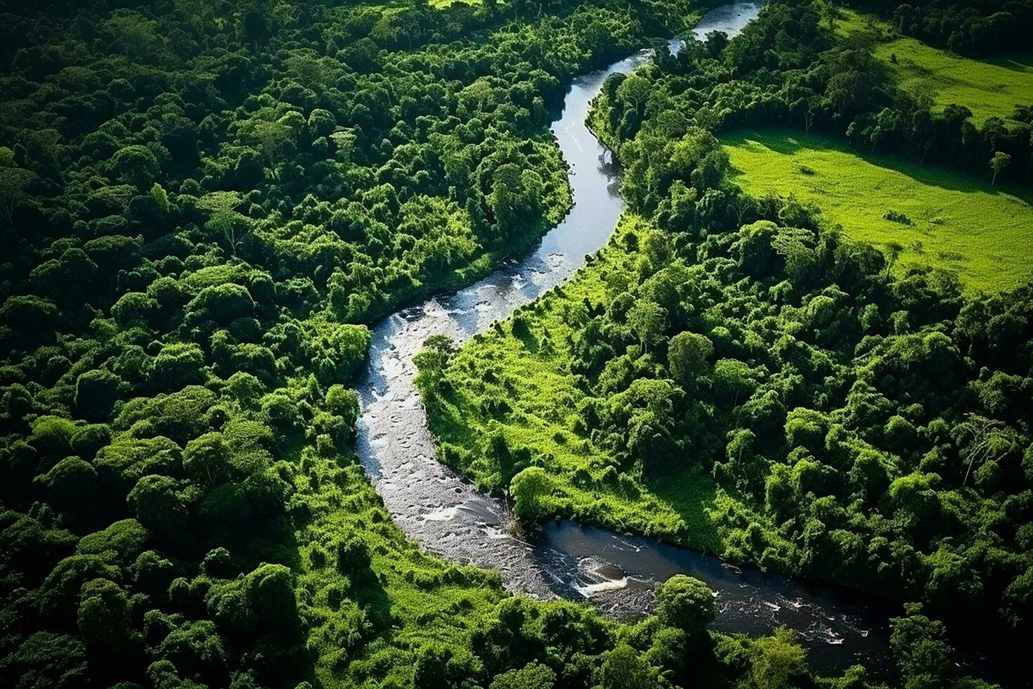 AI generated drone aerial birds eye view of a large green grass forest with tall trees and a big blue bendy river flowing through the forest photo