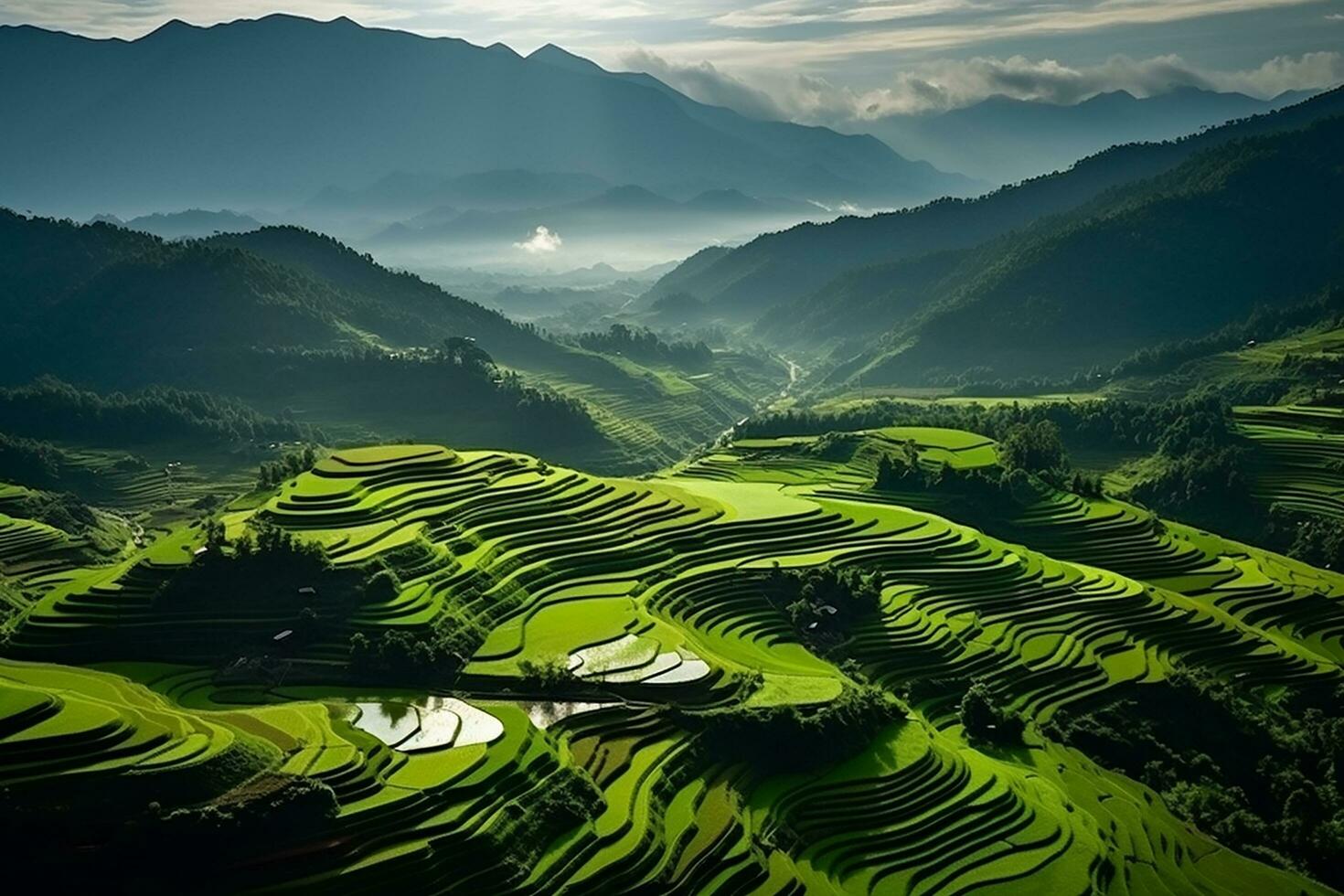 AI generated Top view or aerial shot of fresh green and yellow rice fields photo