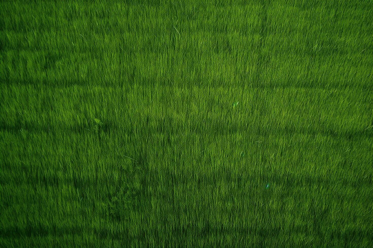 AI generated Perpendicular aerial view of green grass field photo