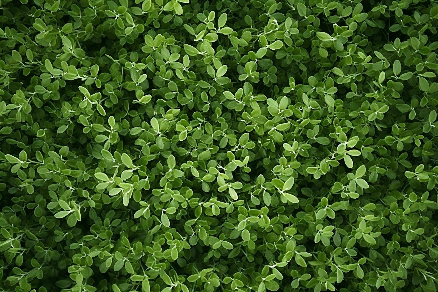 AI generated Aerial top view rural road in the forest, dirt road or mud road and rain forest, Aerial view road in nature, Ecosystem and healthy environment photo