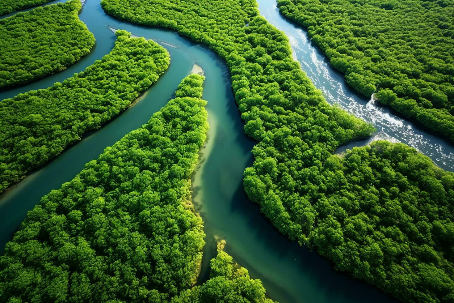 AI generated drone aerial birds eye view of a large green grass forest with tall trees and a big blue bendy river flowing through the forest photo