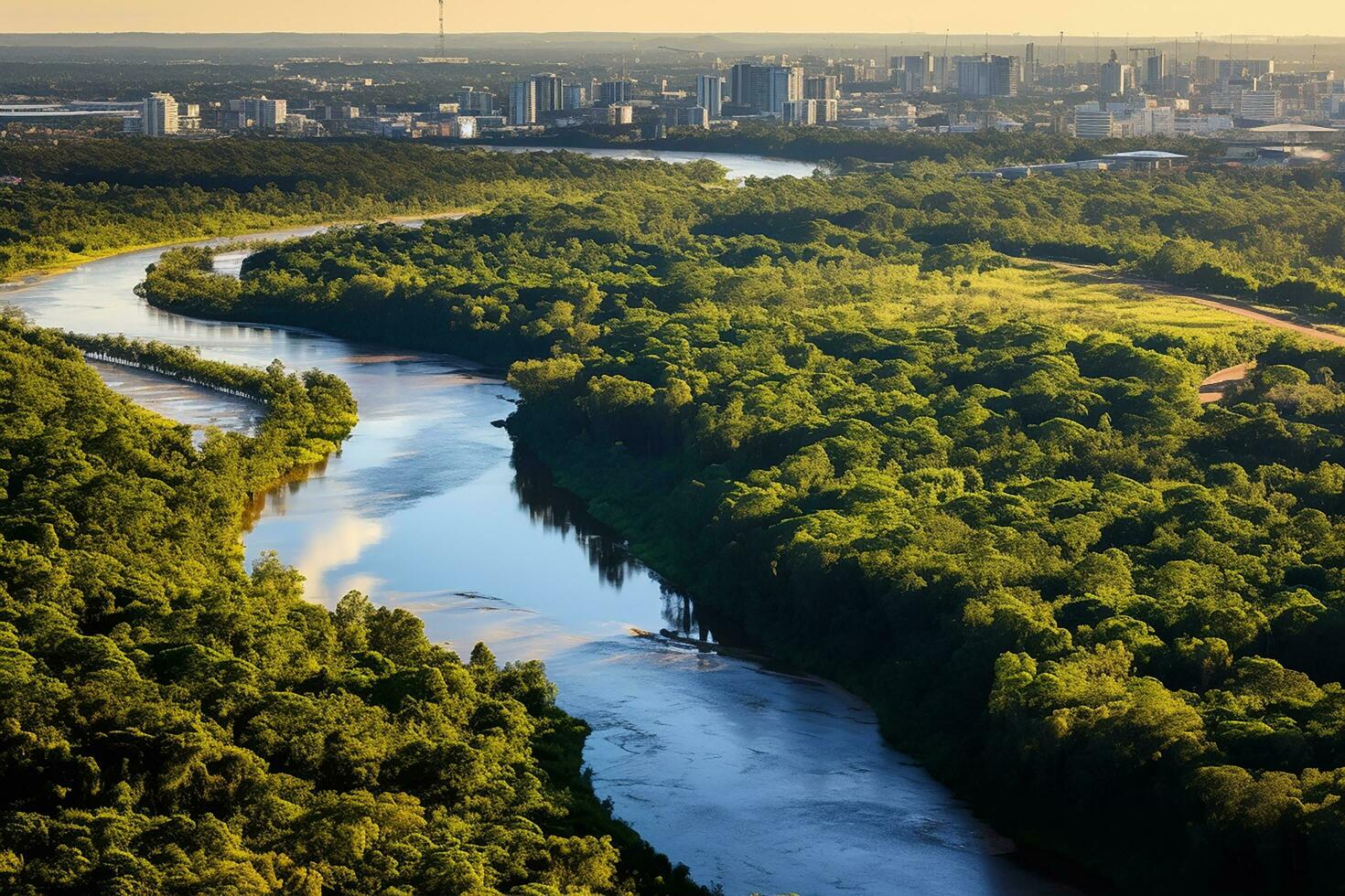 AI generated drone aerial birds eye view of a large green grass forest with tall trees and a big blue bendy river flowing through the forest photo