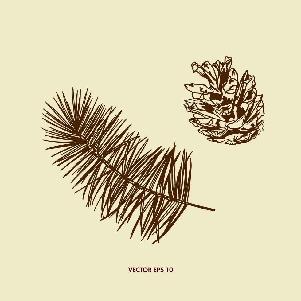 Pine branch and cone. Vector illustration of a plant in graphic style. Design element for greeting cards, banners, covers, invitations, flyers, labels.