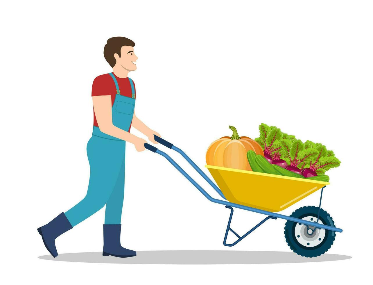 Farming man pushing wheelbarrow with beetroot, pumpkin, cucumber. Natural and tasty food. Organic farm products. male working on harvesting season. Vector illustration in flat style