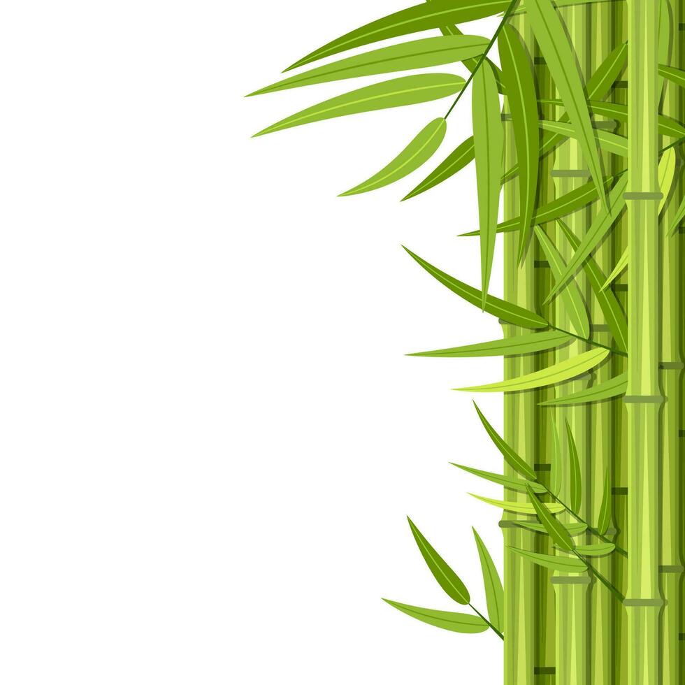 Vector green bamboo stems and leaves isolated on white background with copy space. Vector illustration in flat style