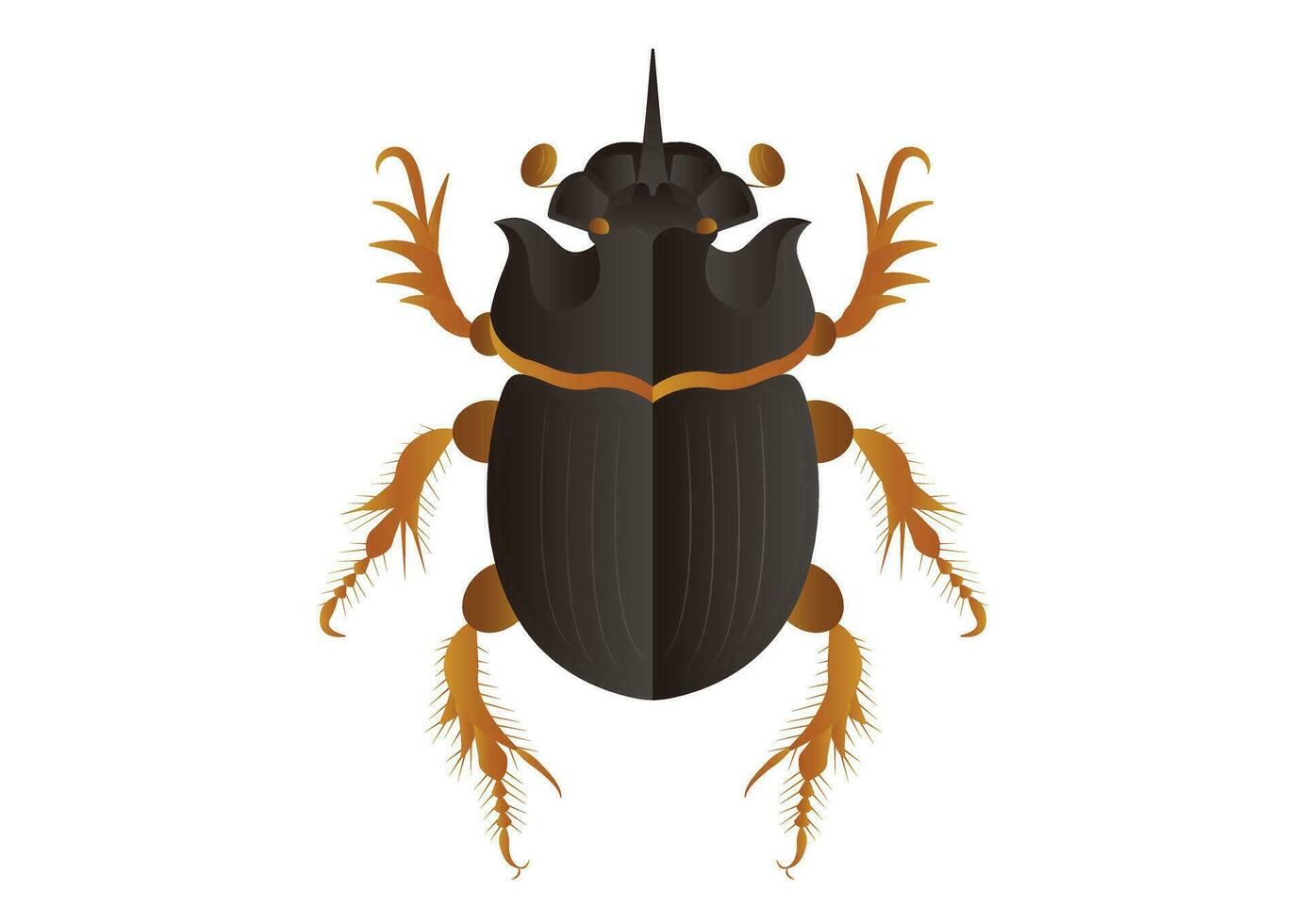Copris Lunaris Male Beetle Vector Art isolated on White Background