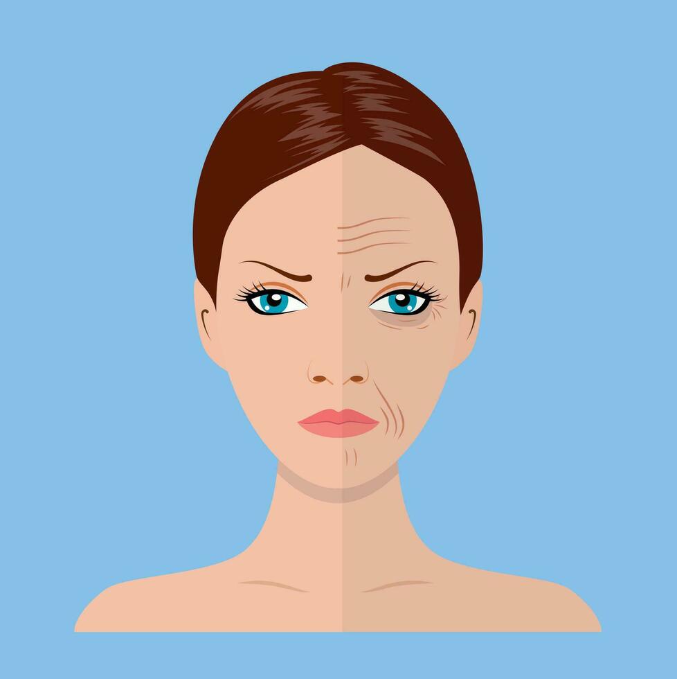 Face of young woman and old woman with wrinkles. Facial aging before and after vector
