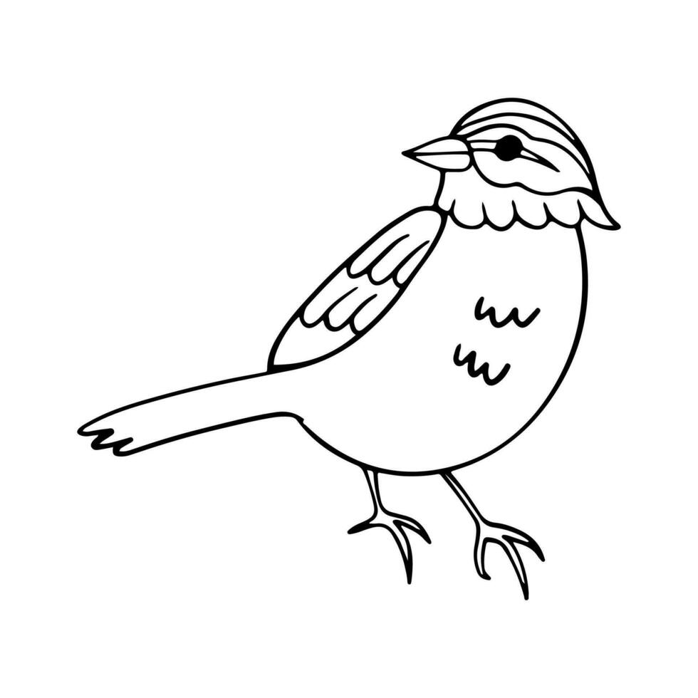 pájaro dibujos animados garabatear ilustración. negro línea pequeño aves, diferente posa, volador. contento personaje. mano dibujado plano resumen icono. moderno de moda vector ilustración