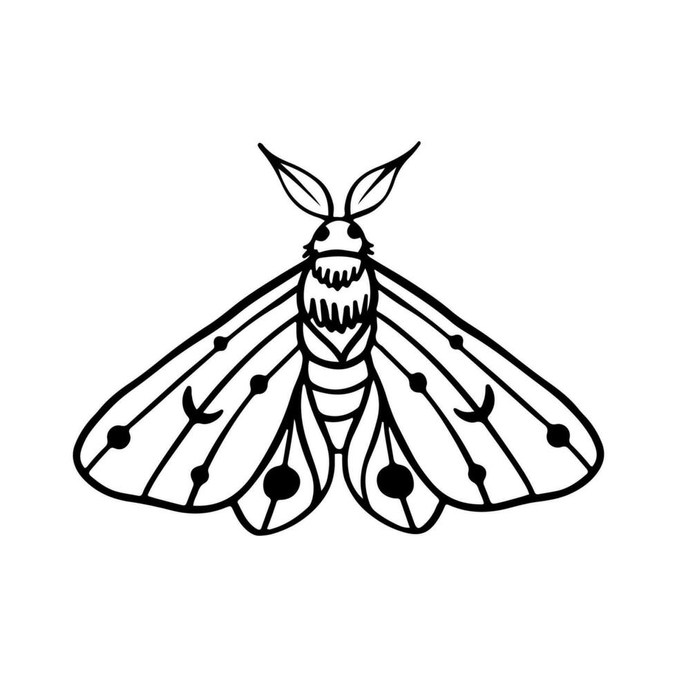 celestial mariposa garabatear ilustración. mano dibujado hermosa línea Arte mariposa tatuaje. esta boho mariposa son bueno para diseño de místico proyecto, tarjeta y póster haciendo, decoración ropa, etc vector