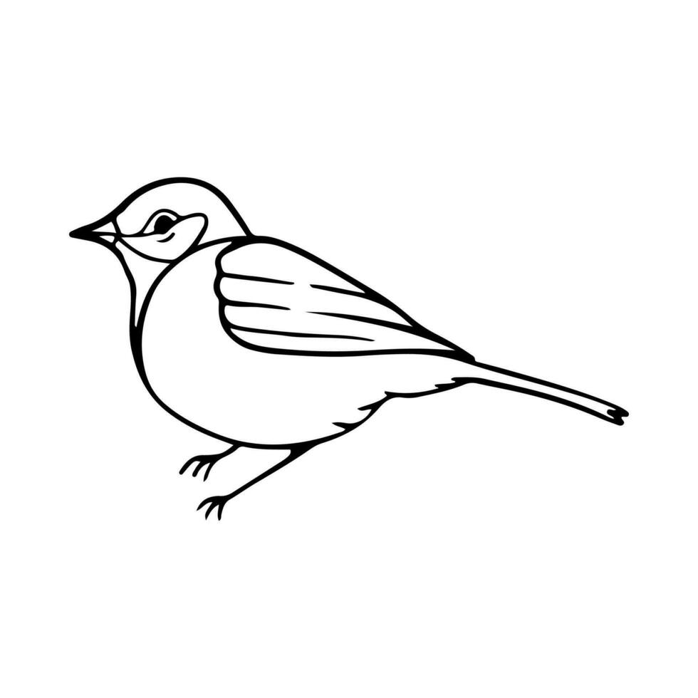 pájaro dibujos animados garabatear ilustración. negro línea pequeño aves, diferente posa, volador. contento personaje. mano dibujado plano resumen icono. moderno de moda vector ilustración