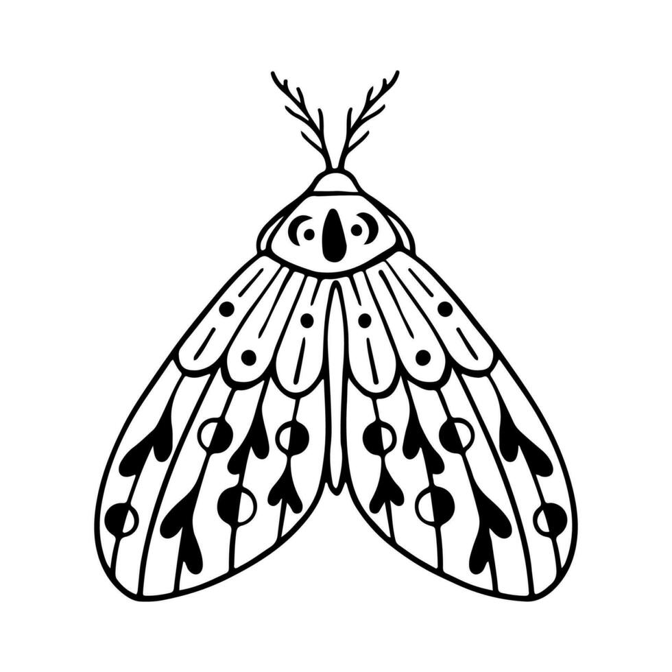 celestial mariposa garabatear ilustración. mano dibujado hermosa línea Arte mariposa tatuaje. esta boho mariposa son bueno para diseño de místico proyecto, tarjeta y póster haciendo, decoración ropa, etc vector