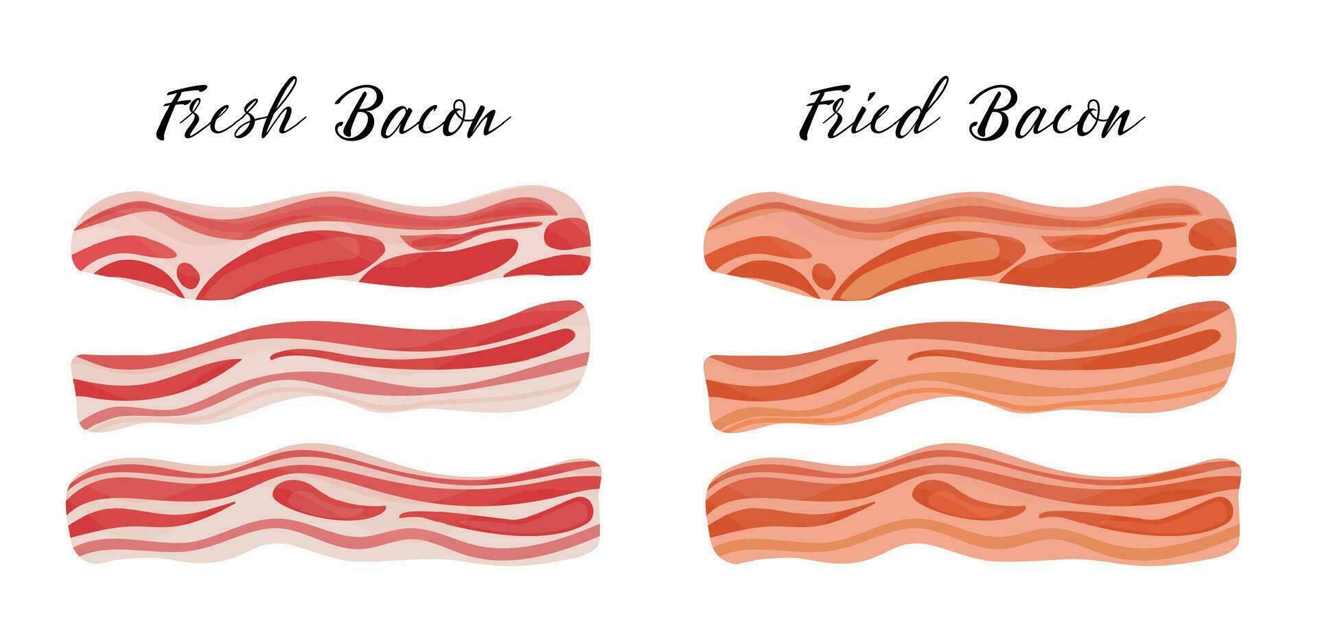 Two types of bacon, pork vector
