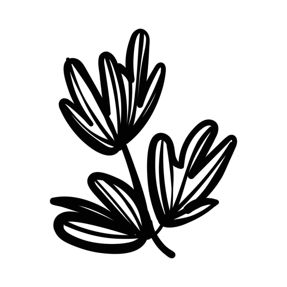 mano dibujado hoja floral, plantas garabatos ilustración vector
