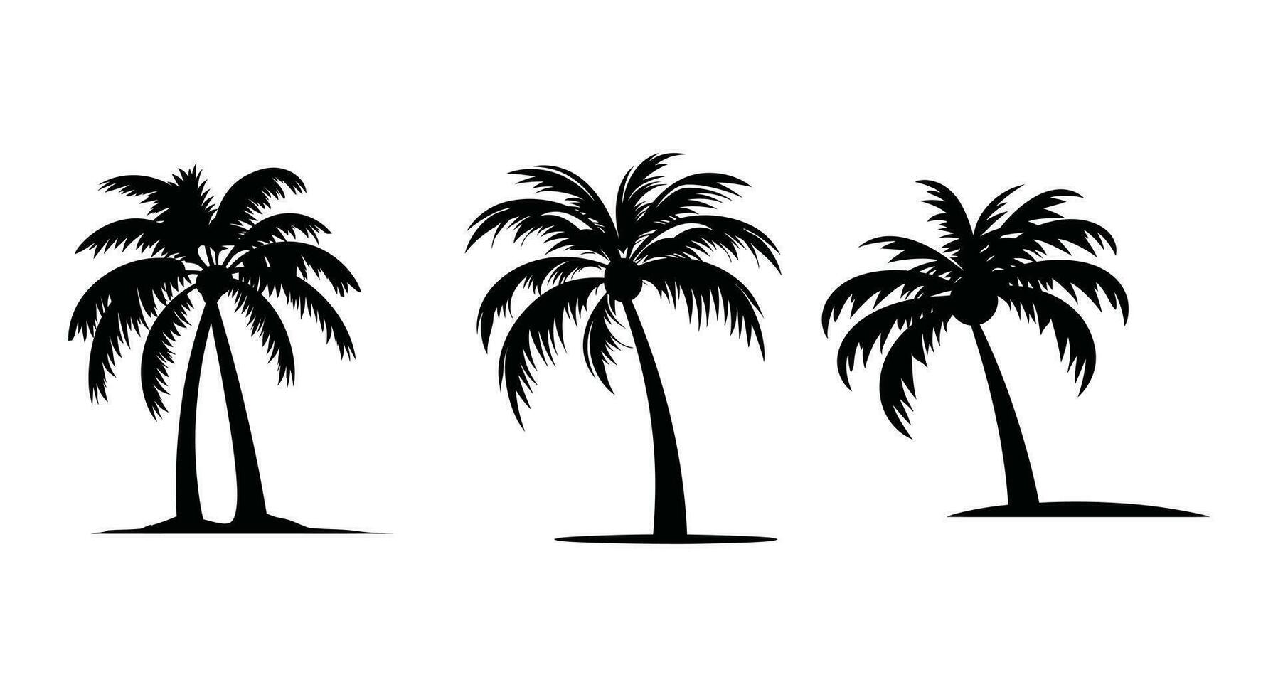 Exotic Palm Vector Collection