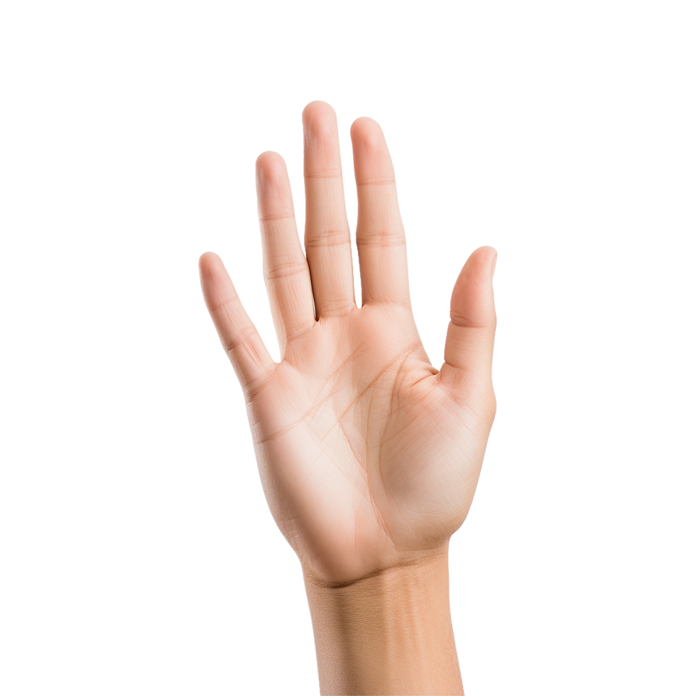 AI generated Hand isolated on transparent background png