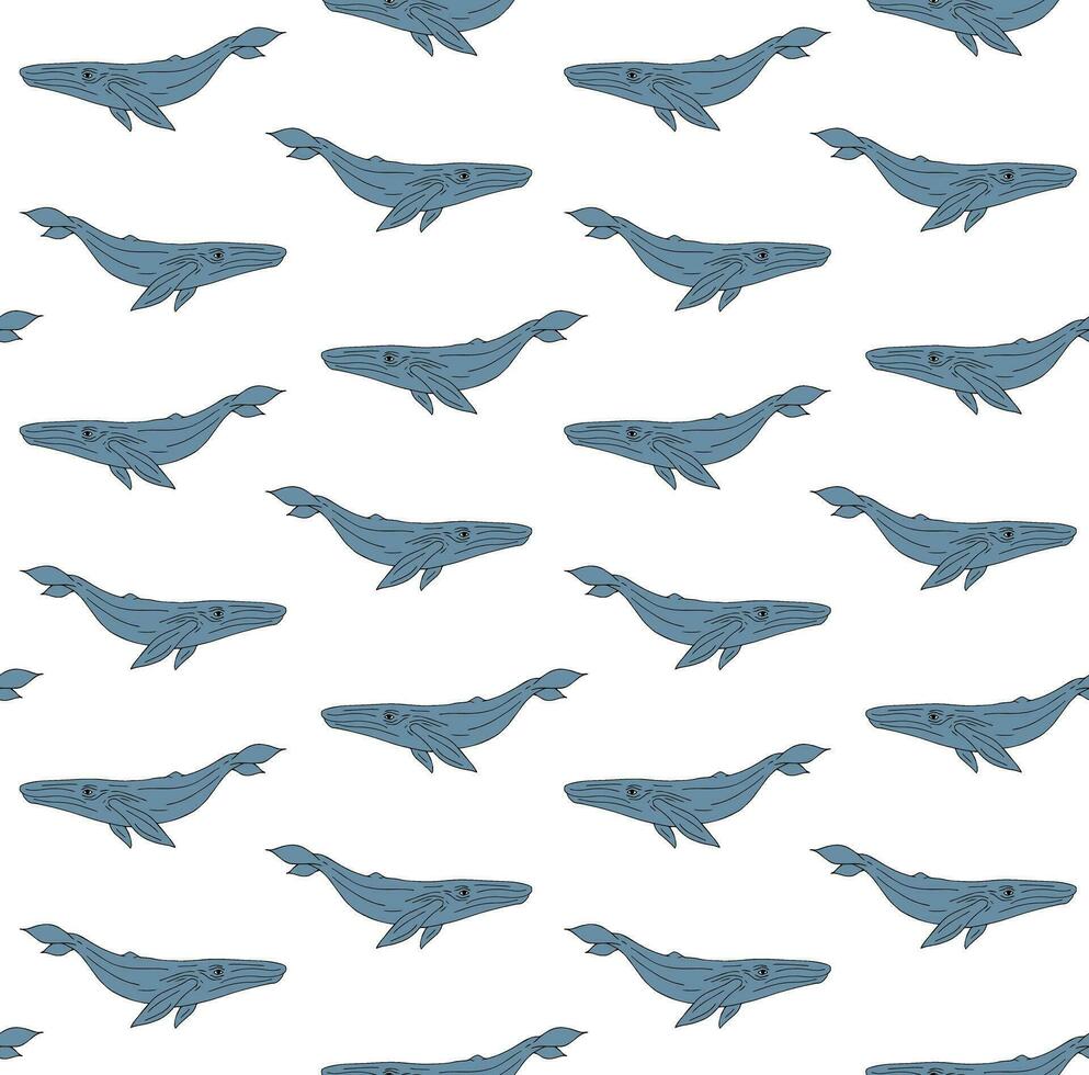 Vector seamless pattern of outline blue whale