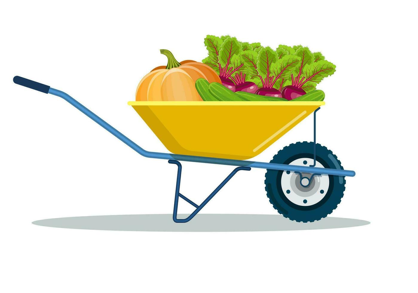 Garden cart with beetroot, pumpkin, cucumber. Natural and tasty food. Organic farm products. Metal wheelbarrow full of ripe vegetables. Vector illustration in flat style
