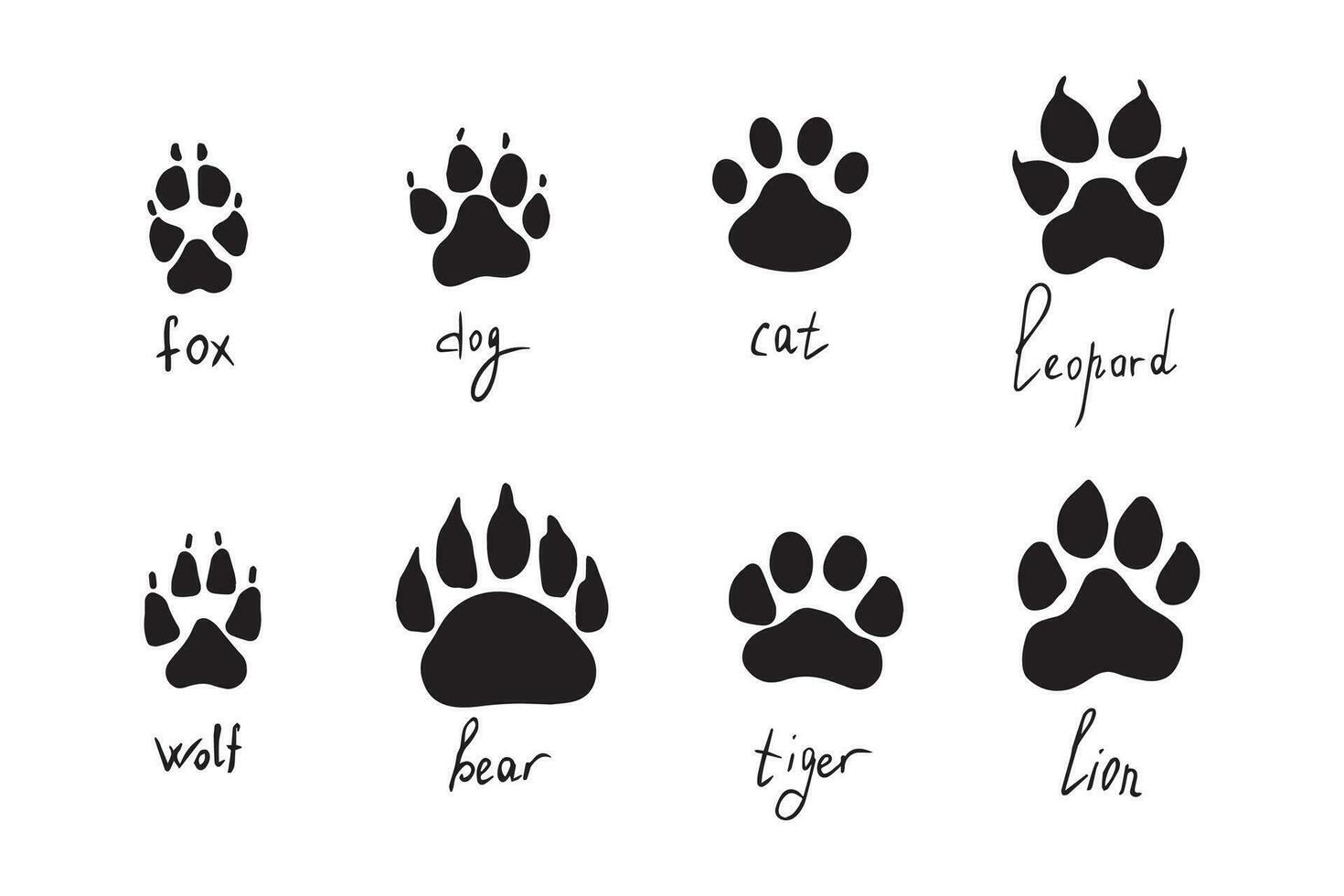 Animal paw prints set, vector different animals footprints. Dog fox wolf bear cat lion leopard tiger. Vector illustration